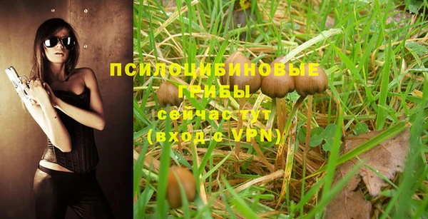 jwh Богданович