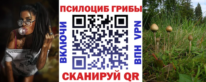 купить наркотик  блэк спрут ССЫЛКА  Галлюциногенные грибы GOLDEN TEACHER  Свободный 